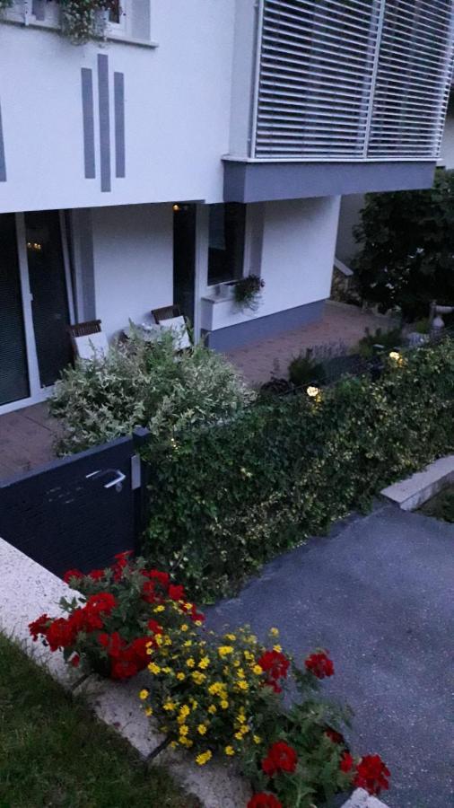 Apartma Julija Luce ภายนอก รูปภาพ