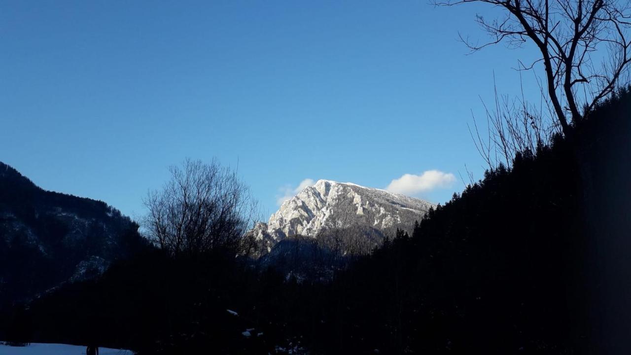 Apartma Julija Luce ภายนอก รูปภาพ